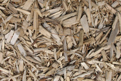 biomass boilers Llangyfelach